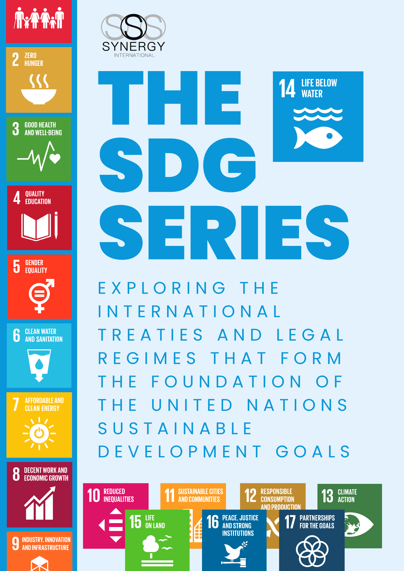 sdg cover